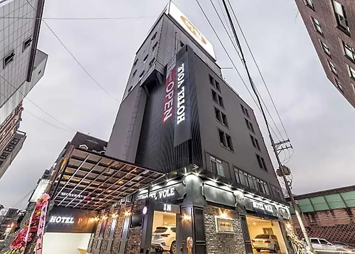 Yongin Vole