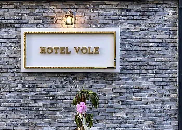 Yongin Vole ソウル特別市